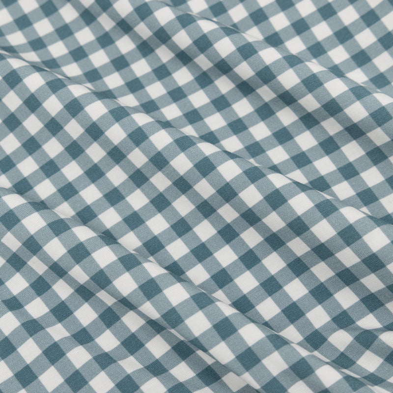 Blue Small Gingham