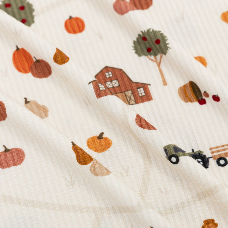 Pumpkin Patch Small Ribbed