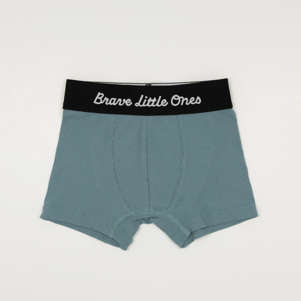 Dragons, Glacier Blue and Space Explorers Boxer Brief 3 pack