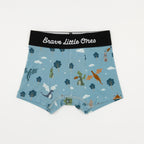 Dragons, Glacier Blue and Space Explorers Boxer Brief 3 pack