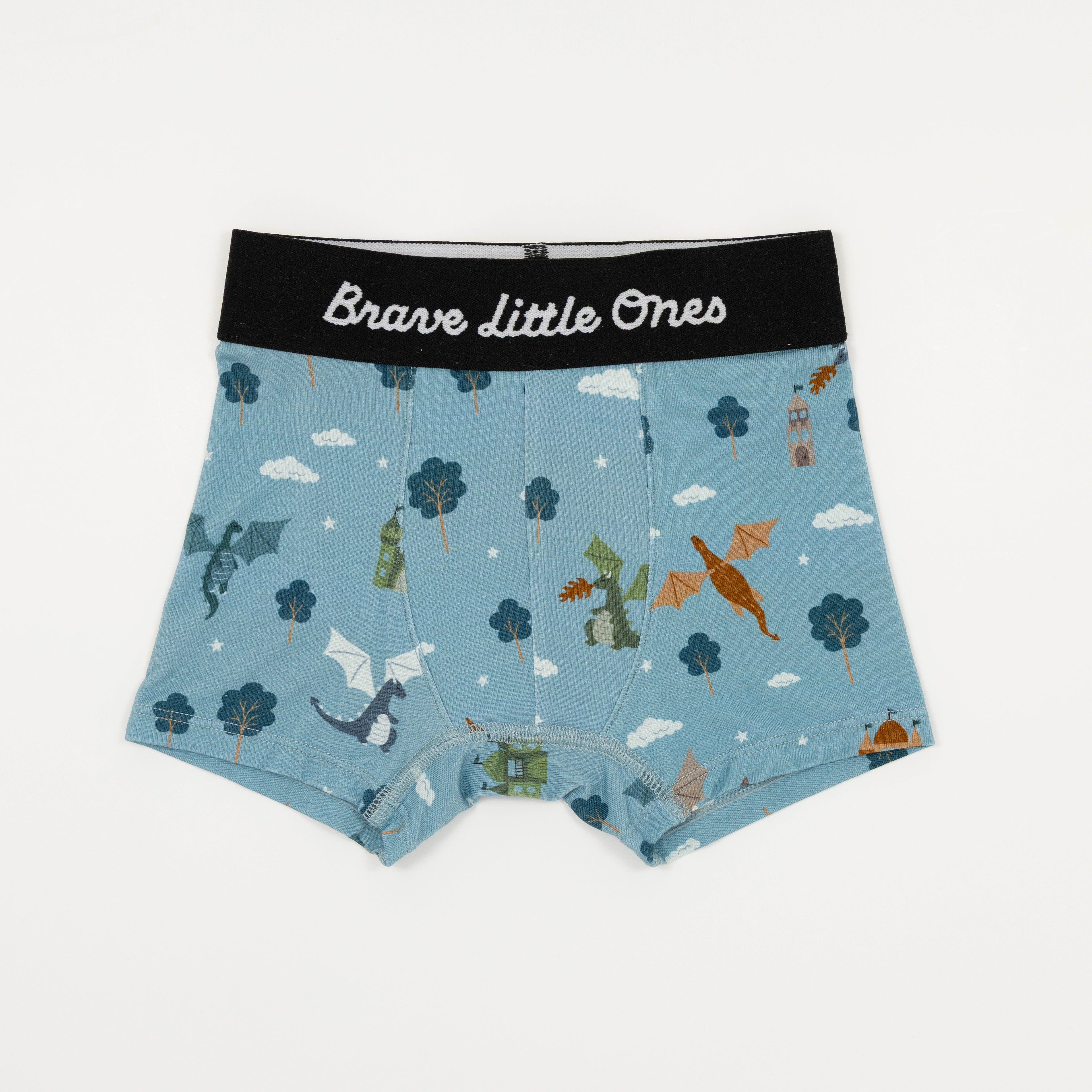 Dragons, Glacier Blue and Space Explorers Boxer Brief 3 pack