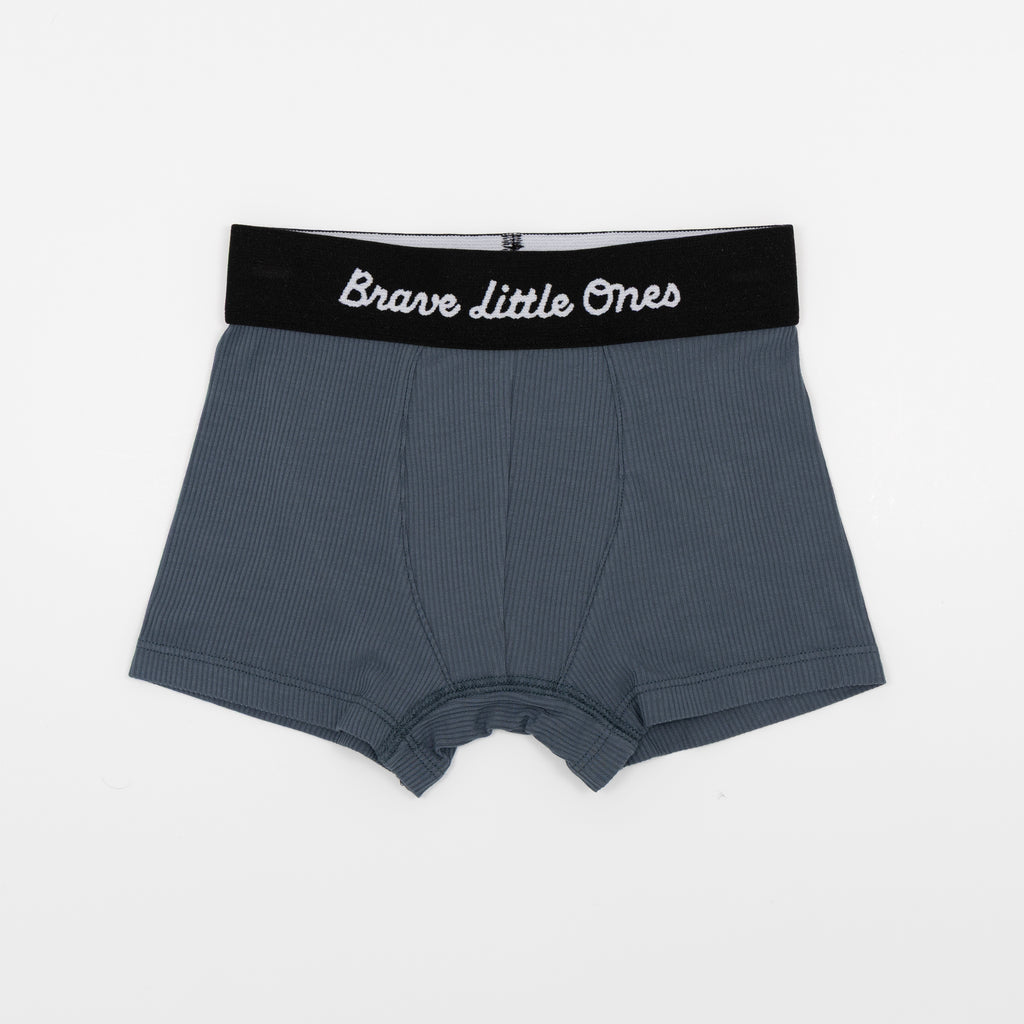 Monster Trucks, Construction and Trains Boxer Brief 3 pack