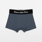 Monster Trucks, Construction and Trains Boxer Brief 3 pack