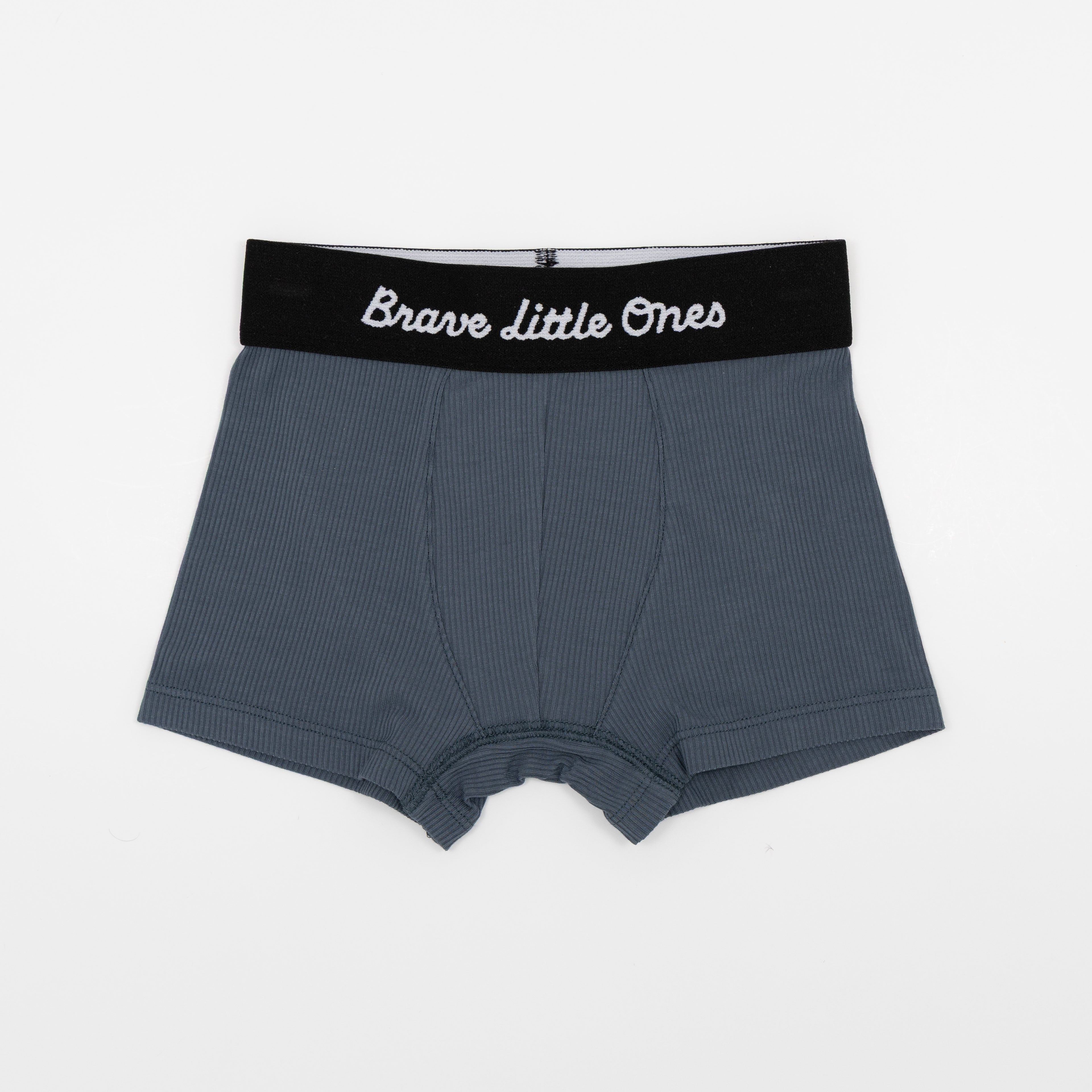 Under The Sea, Dark Steel Blue and Space Explorers Boxer Brief 3 pack