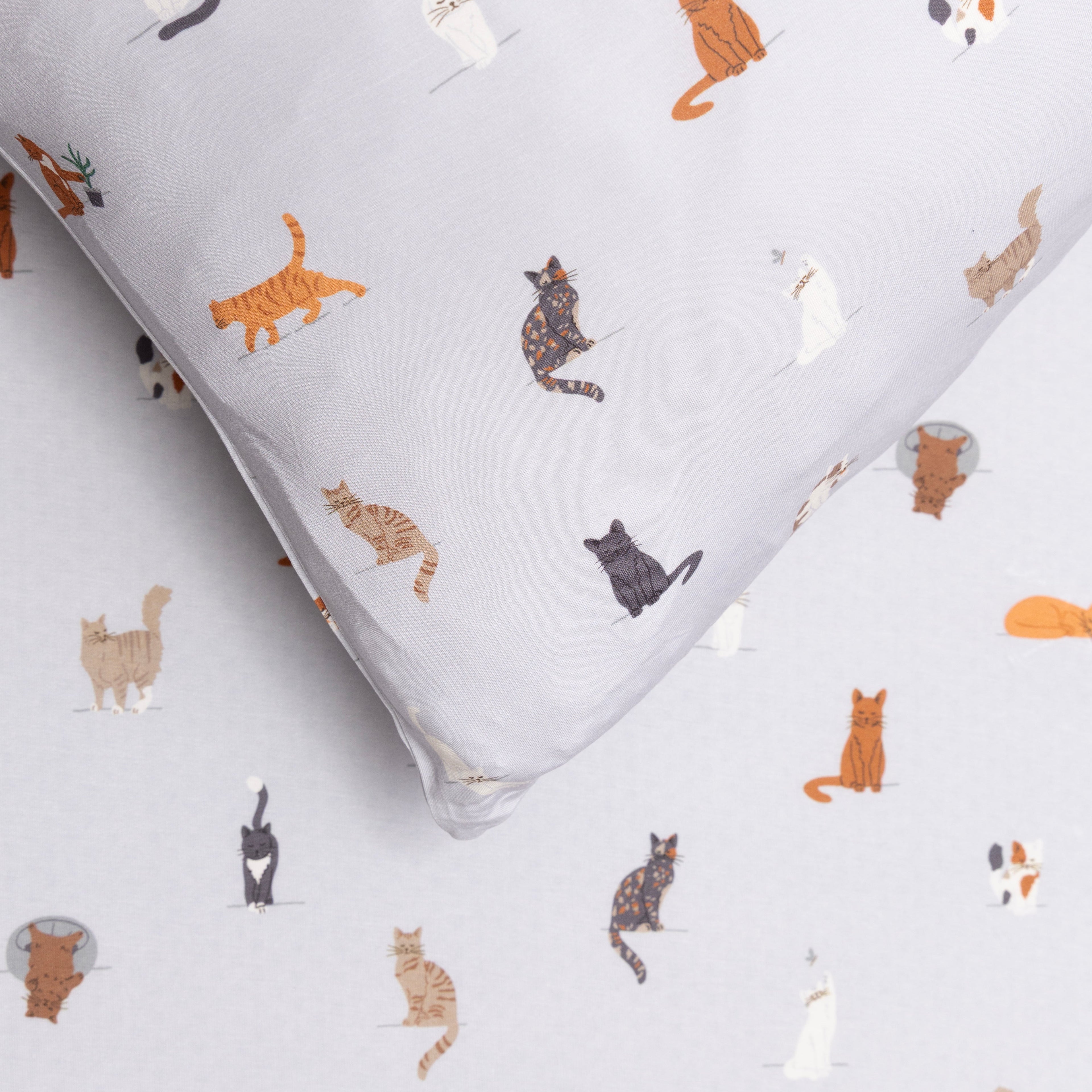 Cats Gray Twin Sheet With Pillow Case