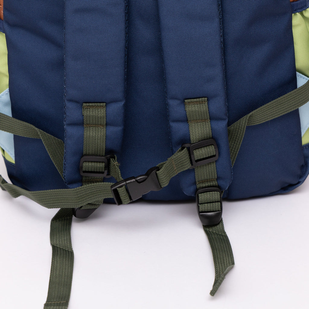 Color Block Standard Backpack