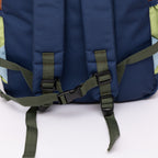 Color Block Standard Backpack