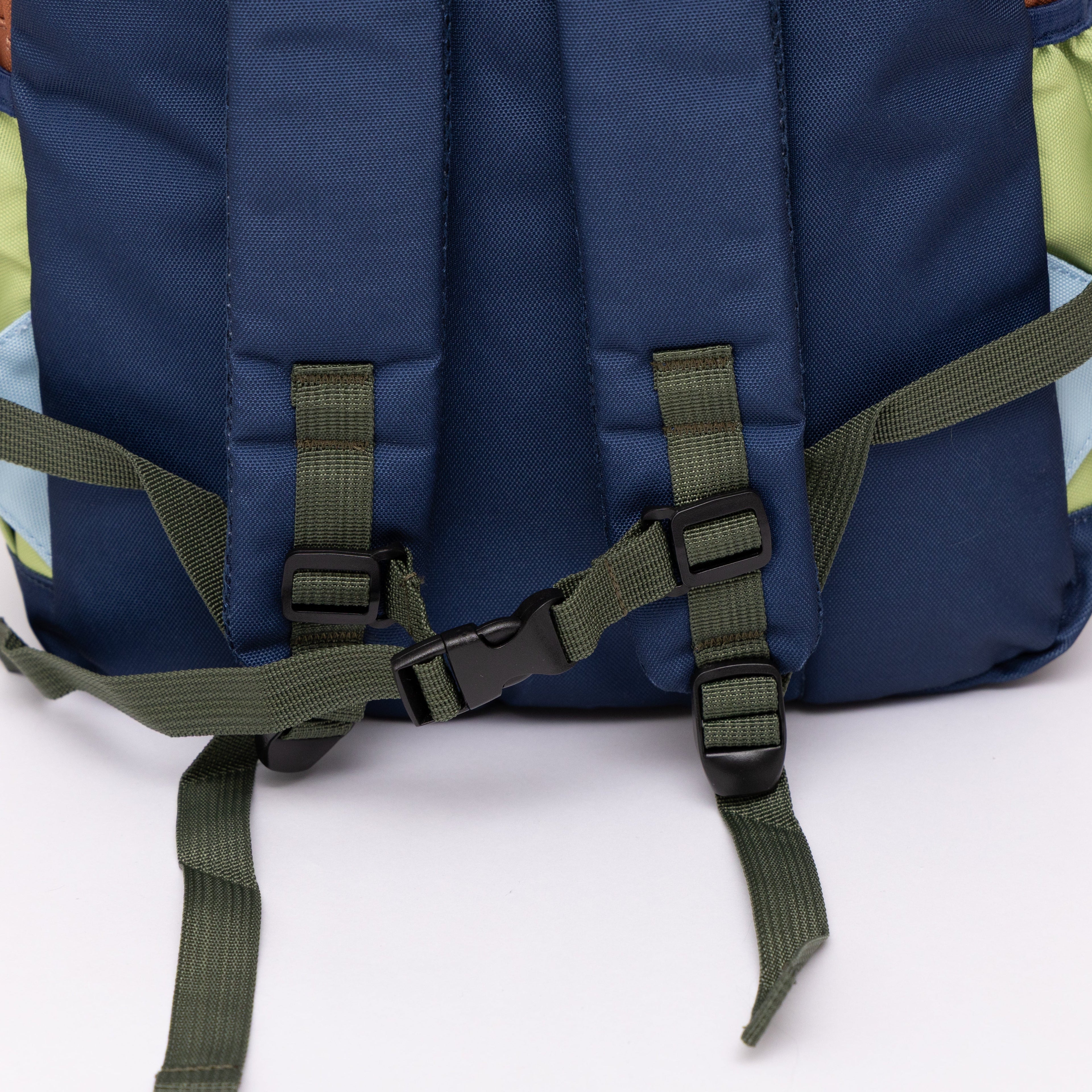Color Block Standard Backpack