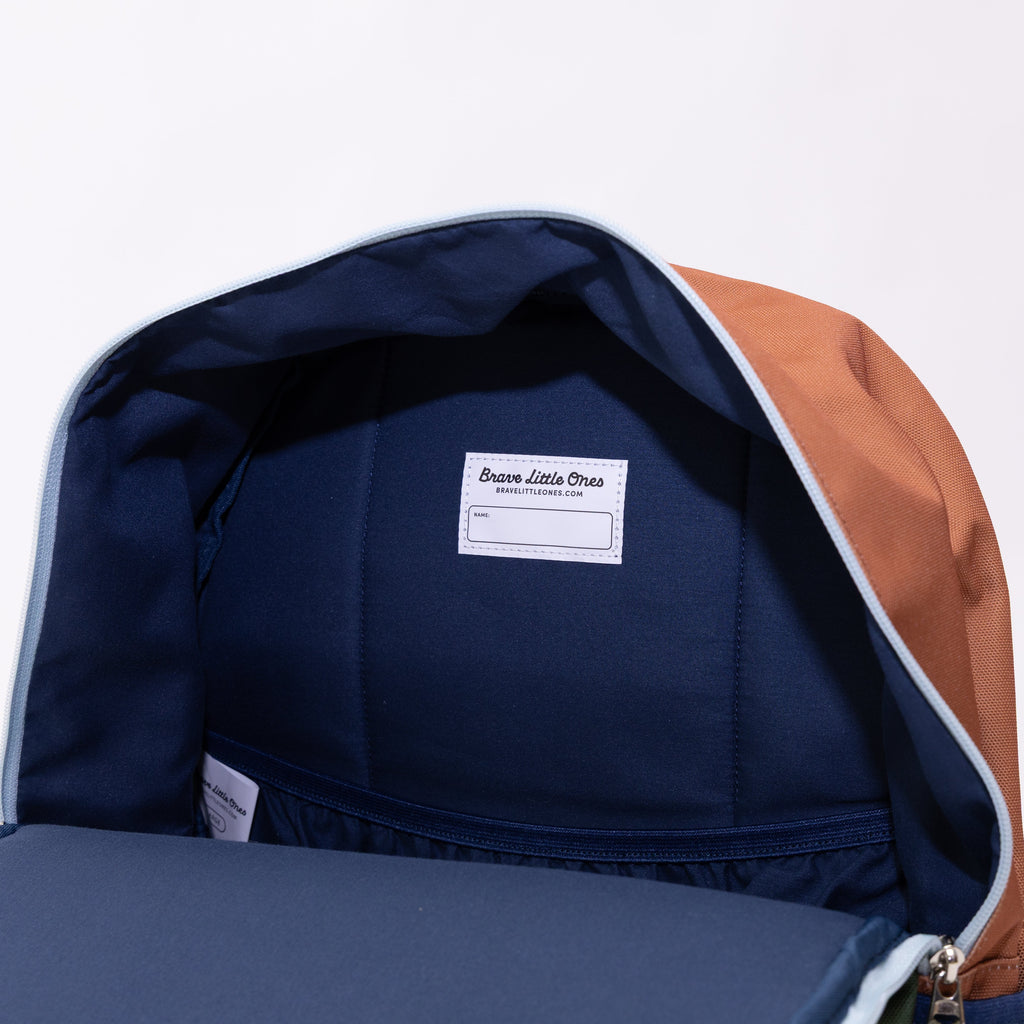 Color Block Standard Backpack