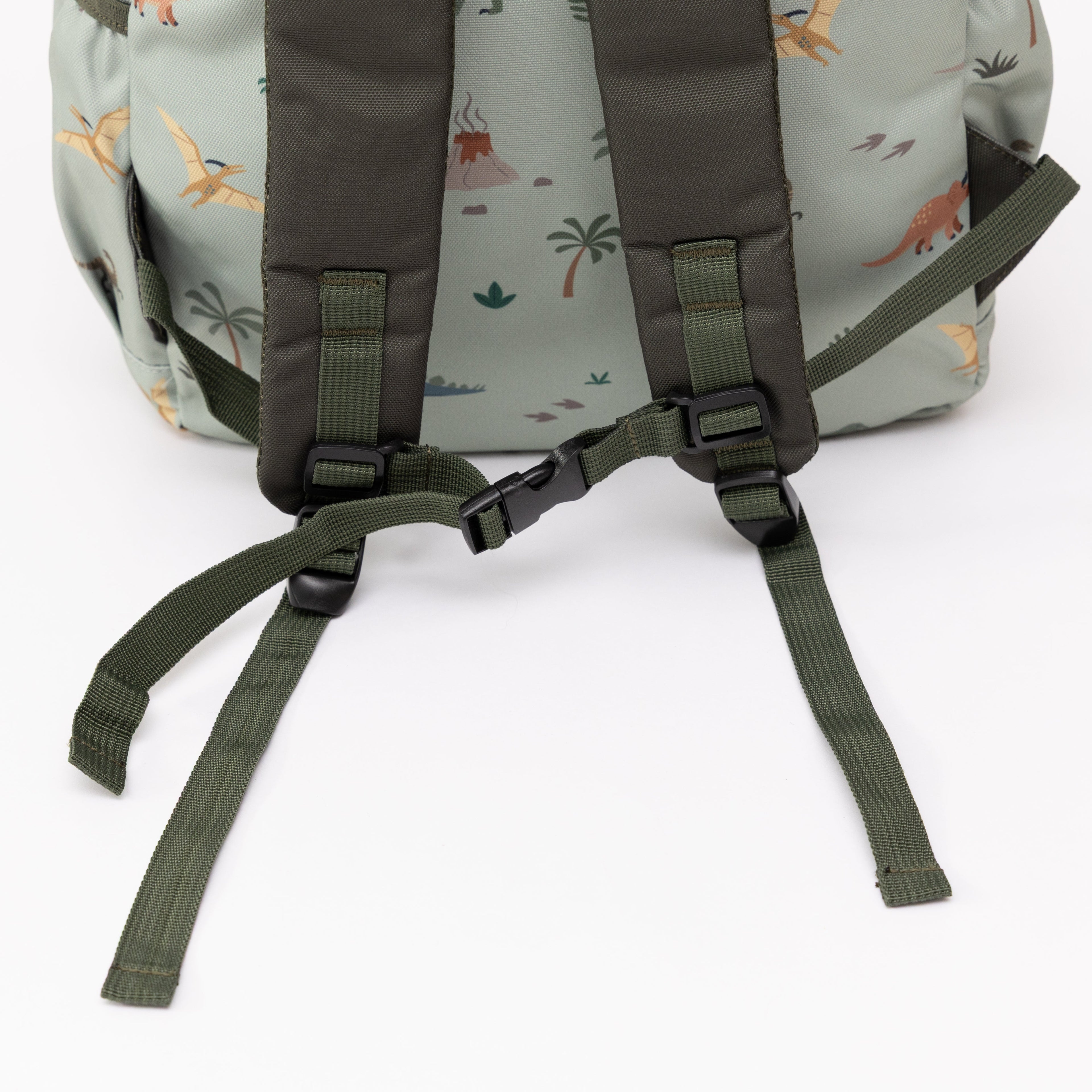 Prehistoric Dinosaurs Standard Backpack