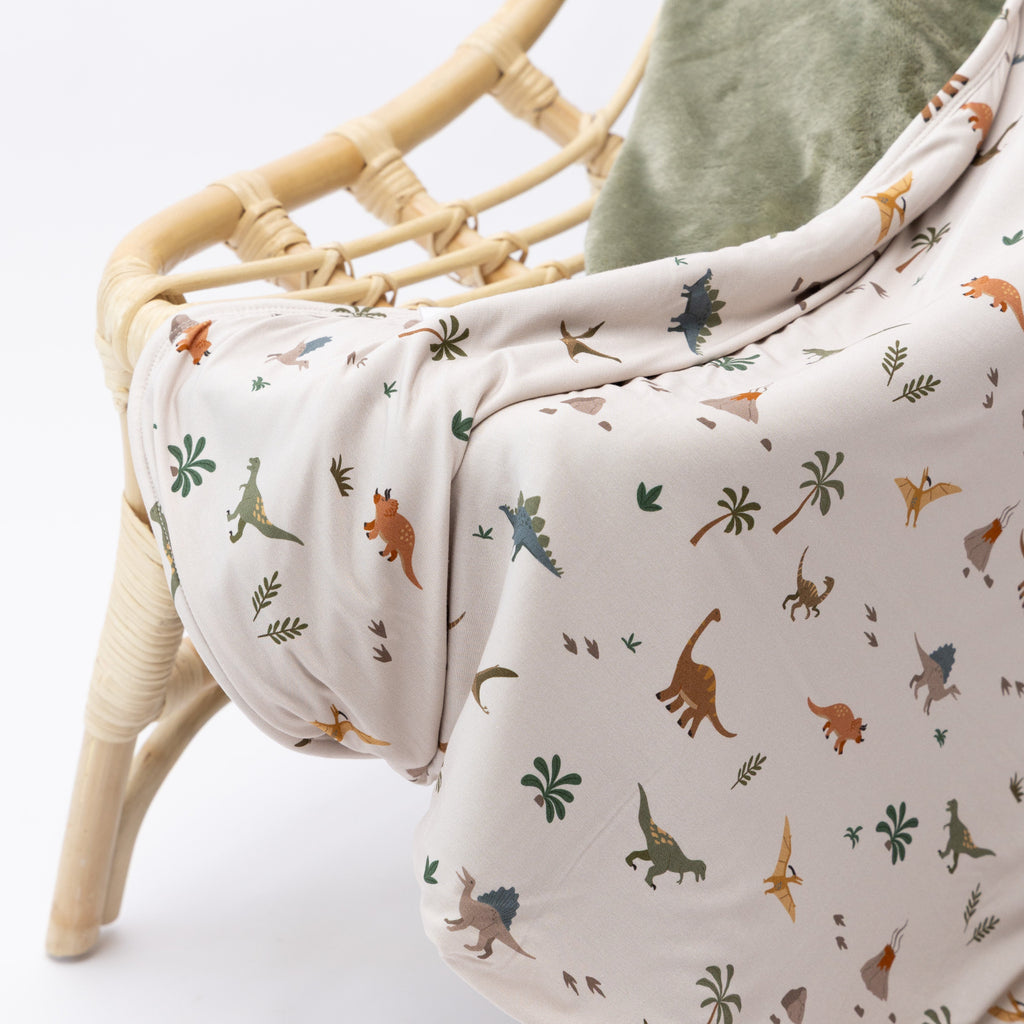 Prehistoric Dinosaurs Toddler Blanket
