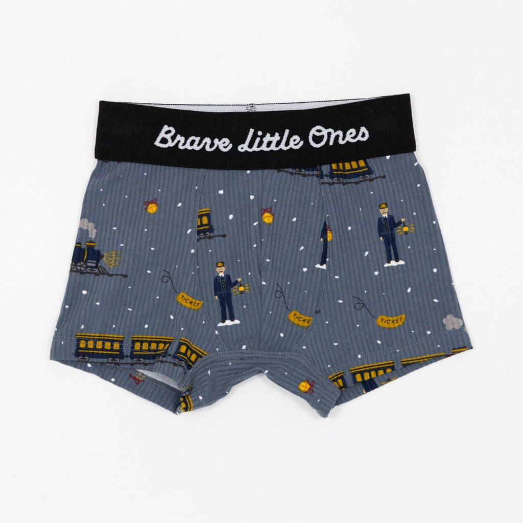 Red Christmas Trucks, Gingerbread and Christmas Trains Boxer Brief 3 pack