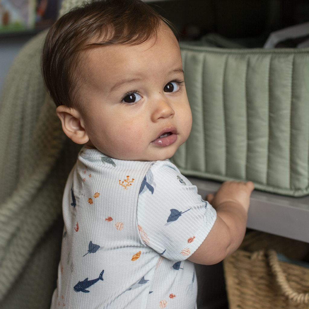 Under The Sea Small Ribbed Summer Zip Romper