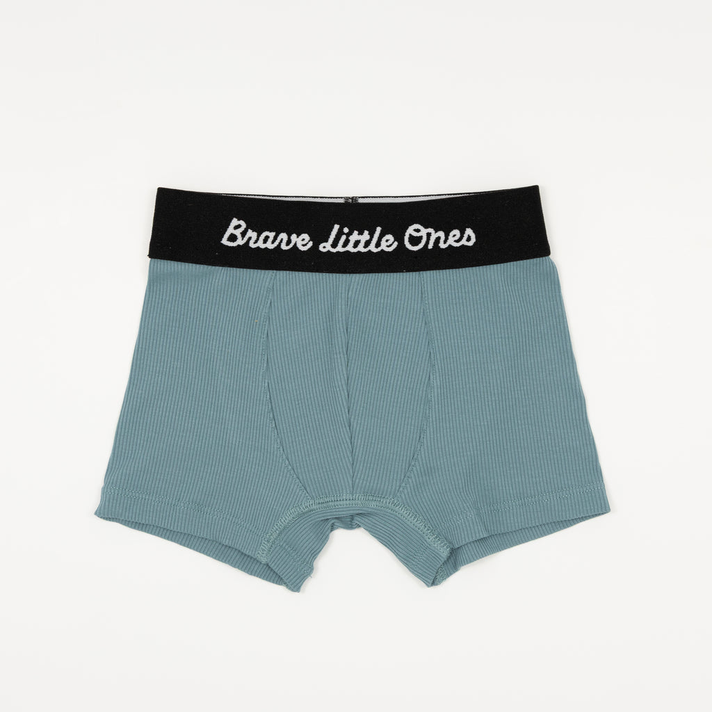 Nautical Boats, Glacier Blue and Under The Sea Boxer Brief 3 pack