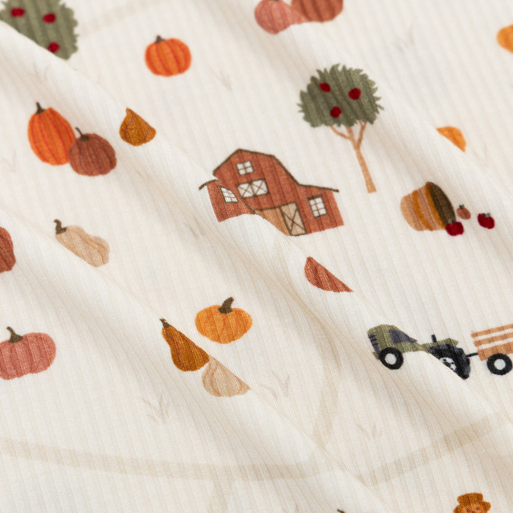 Pumpkin Patch Small Ribbed Zip Romper