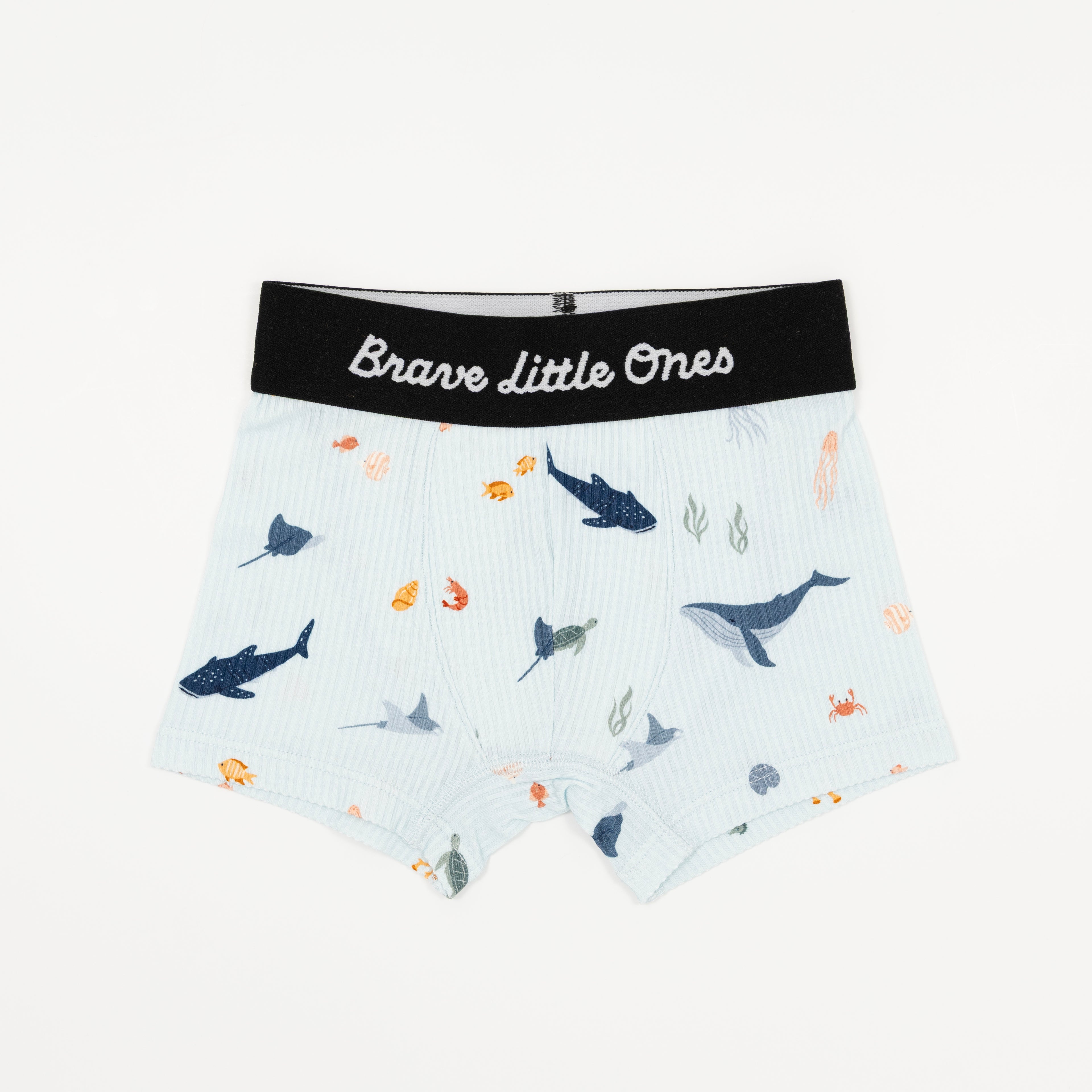 Nautical Boats, Glacier Blue and Under The Sea Boxer Brief 3 pack