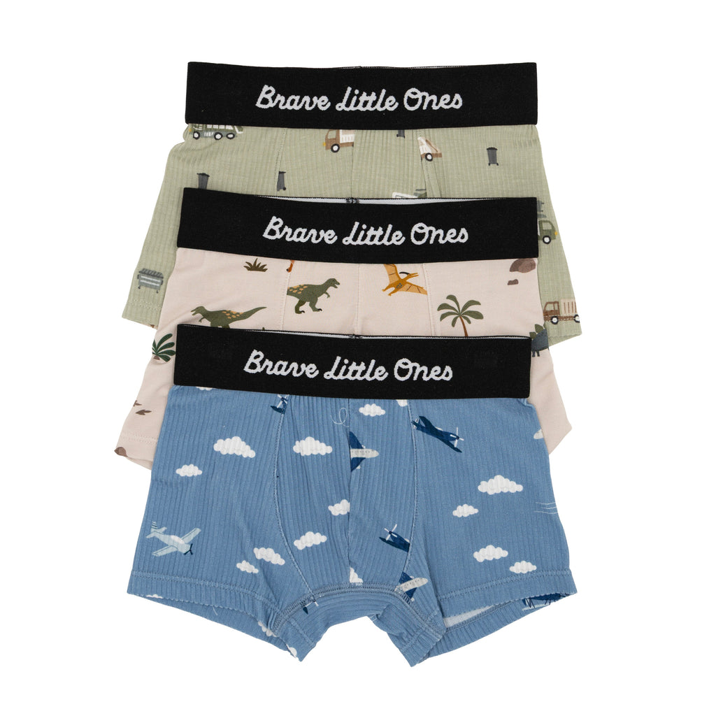Take Flight Blue, Prehistoric Dinosaurs and Trash Truck Small Ribbed Brief 3 pack