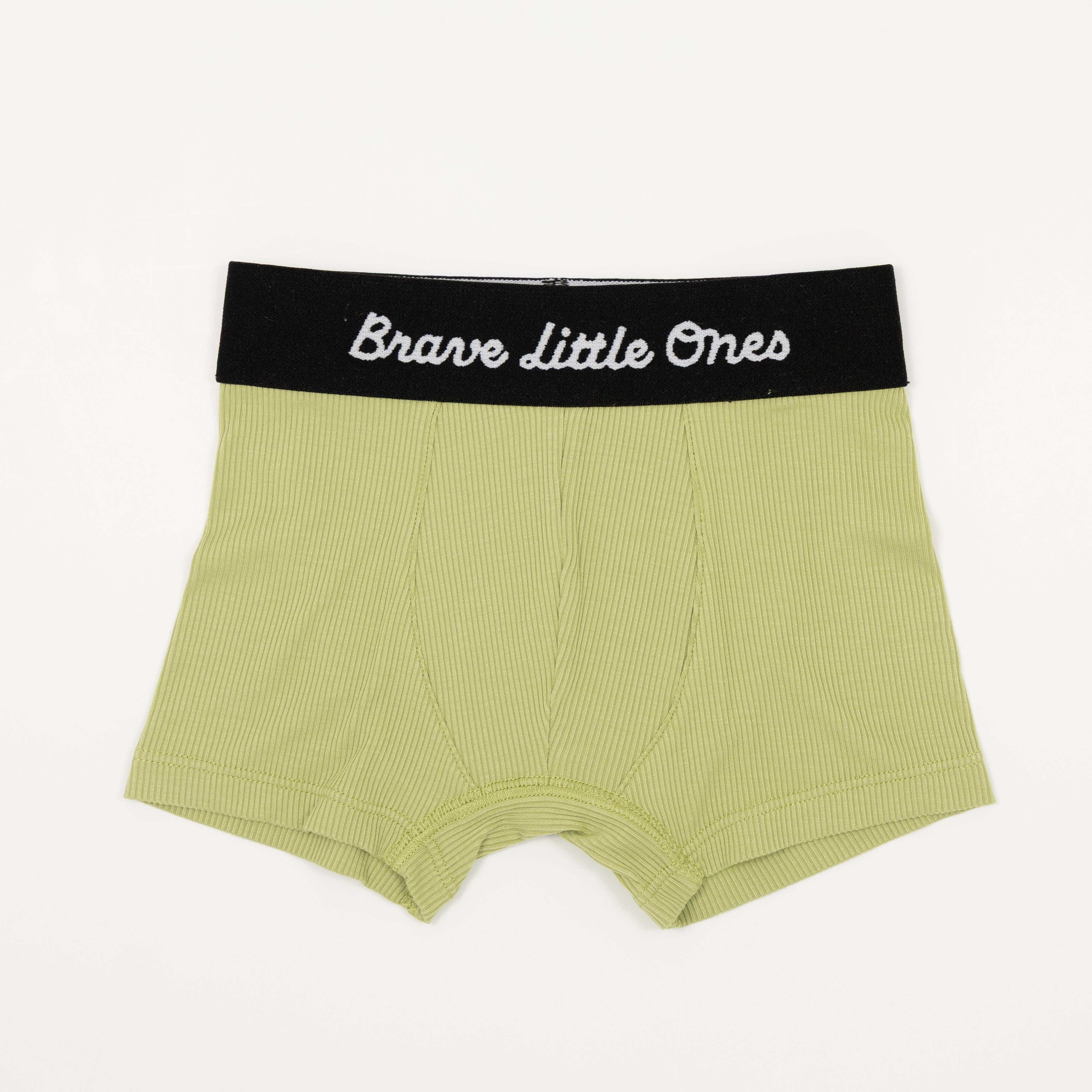 Noah's Ark, Zoo Day and Tarragon Green Small Ribbed Boxer Brief 3 pack