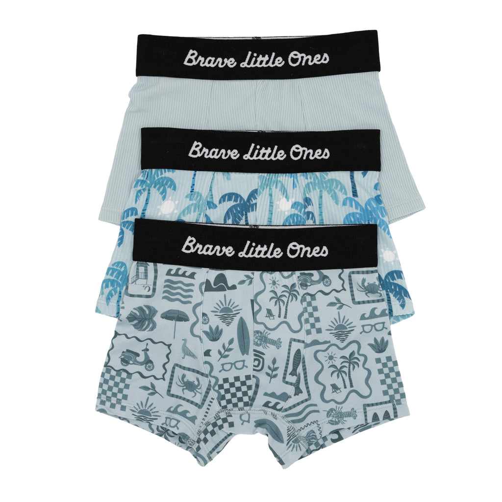 Summer Block Blue, Coastal Blue Palms and Harbor Blue Small Ribbed Boxer Brief 3 pack