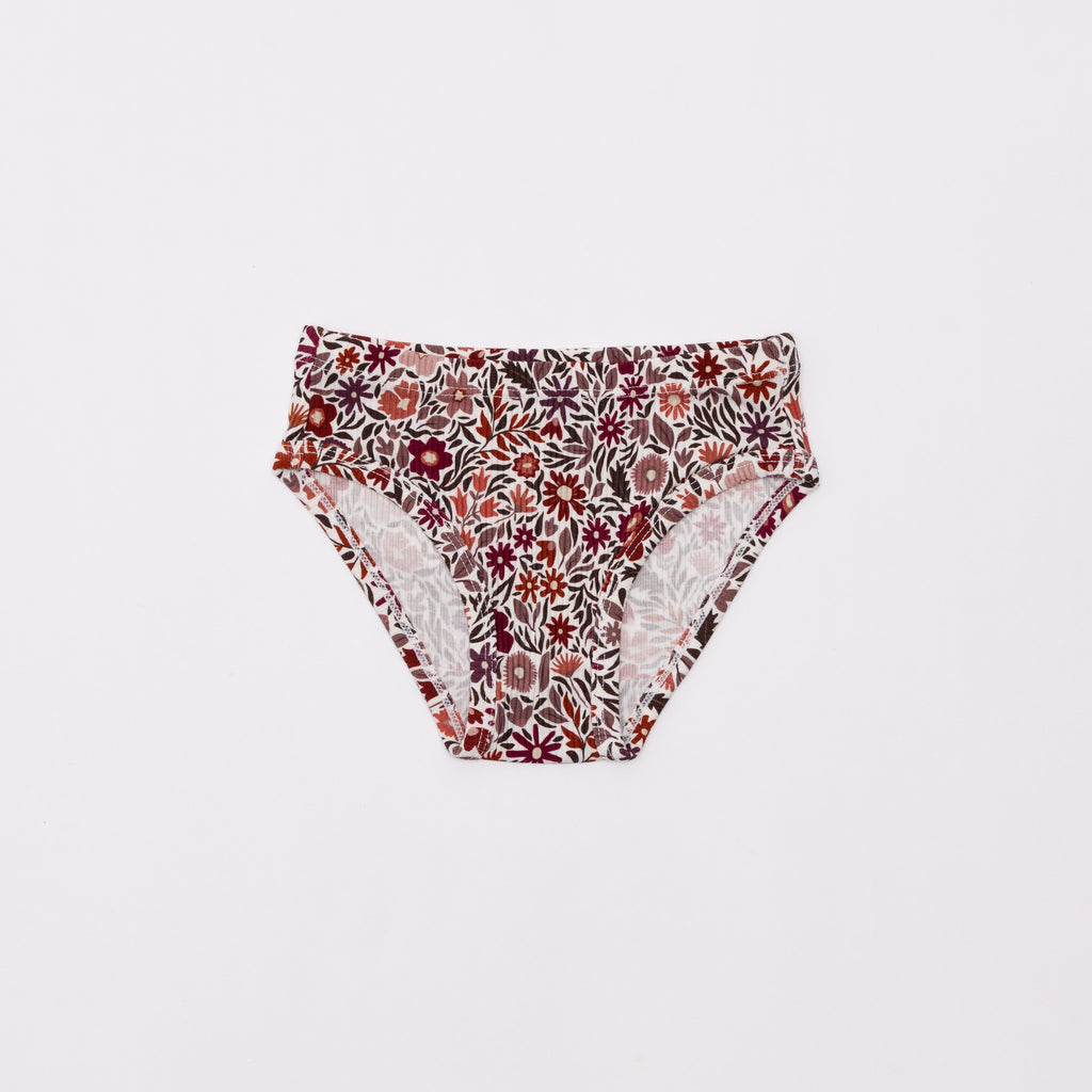 Folk Meadow, Mulberry and Fall Blooms Underwear 3 pack