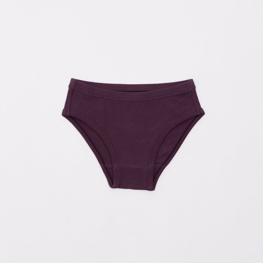 Folk Meadow, Mulberry and Fall Blooms Underwear 3 pack