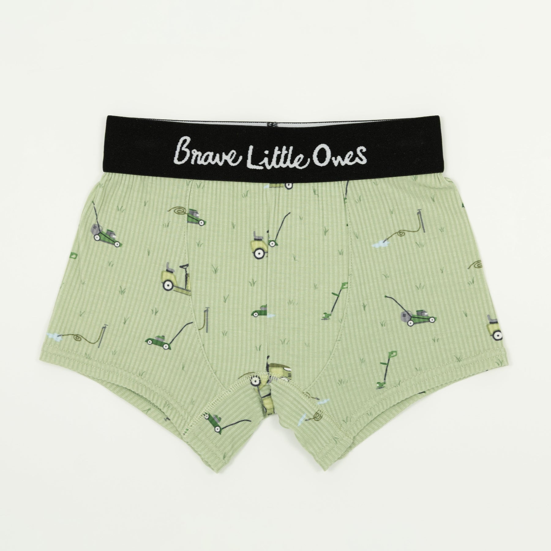 Chickens, Gone Fishing and Lawn Mowers Boxer Brief 3 pack