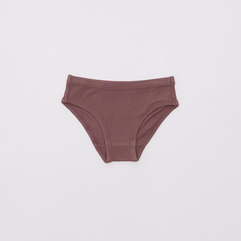 Fall Blooms, Plum & Pink Daisies Underwear 3 pack