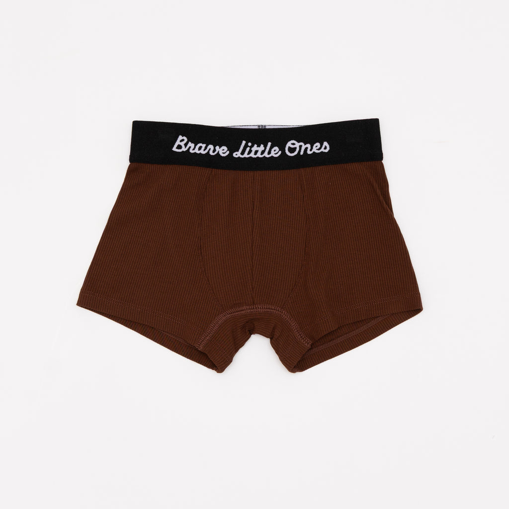 Olive, Pinecone and Tan Wide Stripe Boxer Brief 3 pack