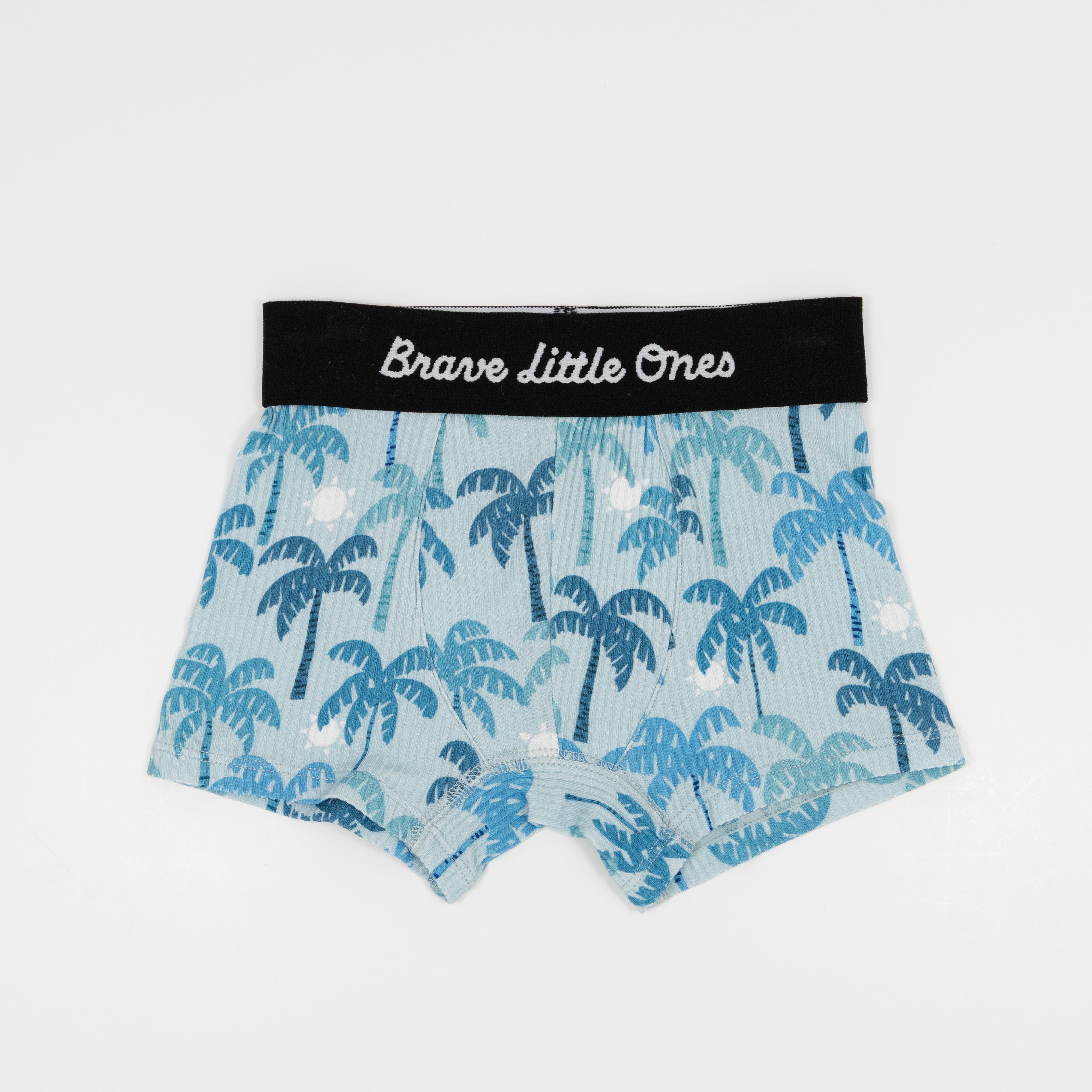 Summer Block Blue, Coastal Blue Palms and Harbor Blue Small Ribbed Boxer Brief 3 pack