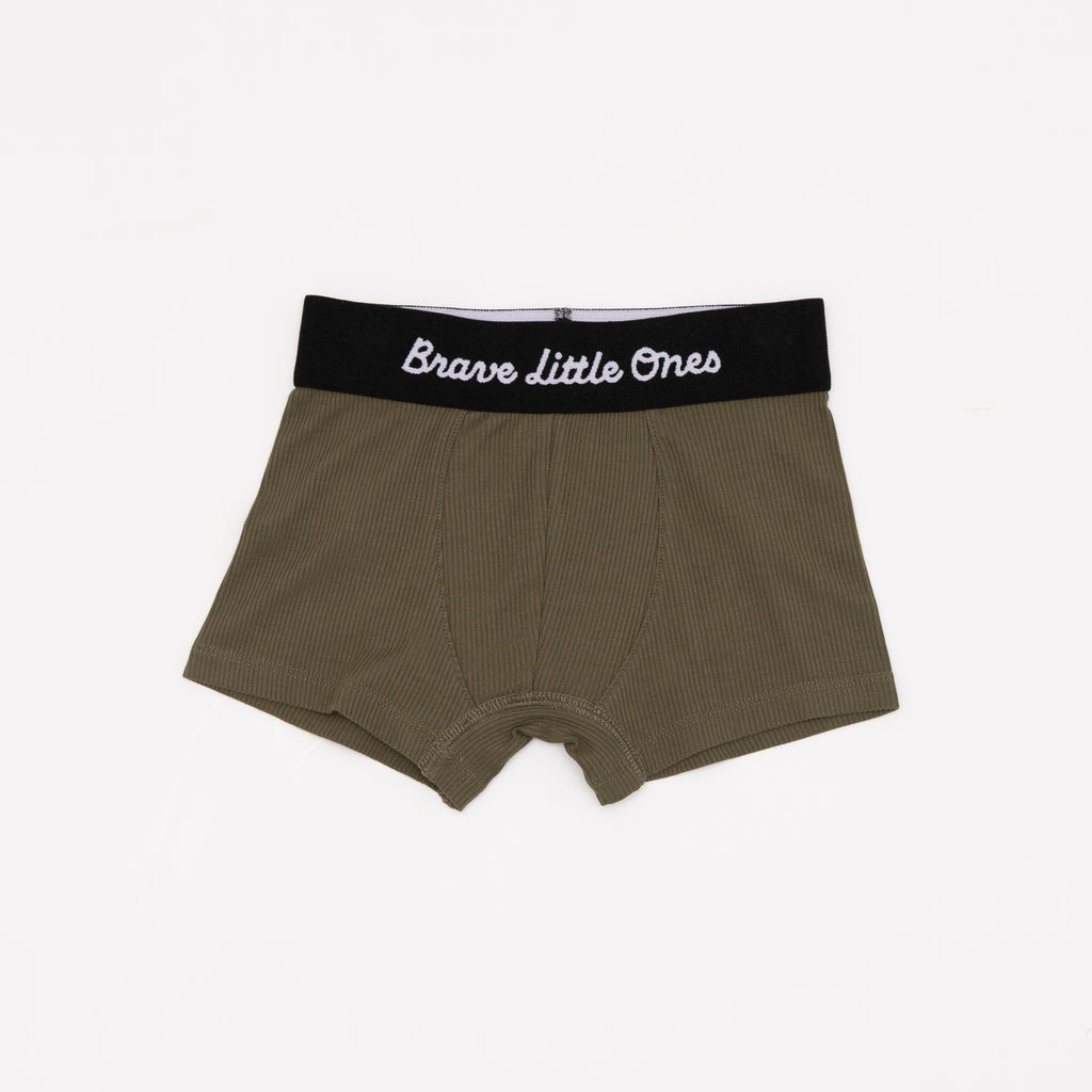 Olive, Pinecone and Tan Wide Stripe Boxer Brief 3 pack