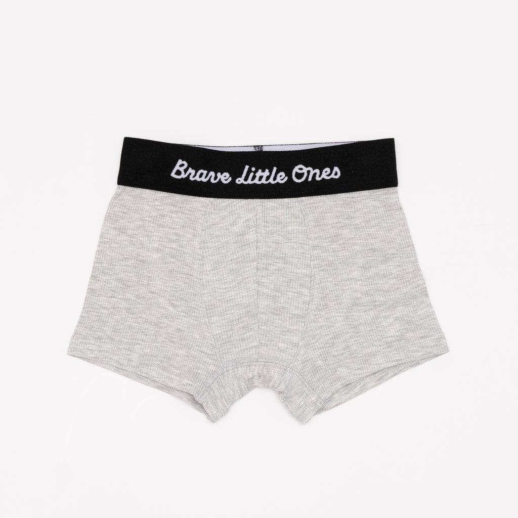 Sports Zone, Cookies and Milk and Heather Gray Boxer Brief 3 pack