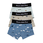Take Flight Blue, Military and Race Cars Boxer Brief 3 pack
