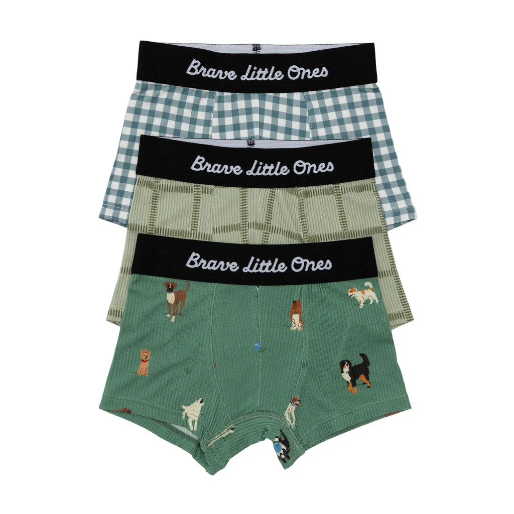 Dogs Green, Grid Sage Green and Blue Small Gingham Boxer Brief 3 pack