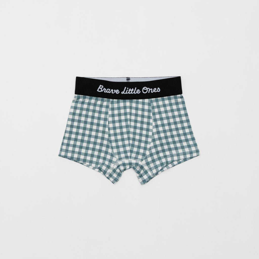 Dogs Green, Grid Sage Green and Blue Small Gingham Boxer Brief 3 pack