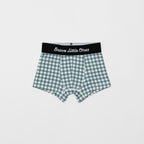Dogs Green, Grid Sage Green and Blue Small Gingham Boxer Brief 3 pack