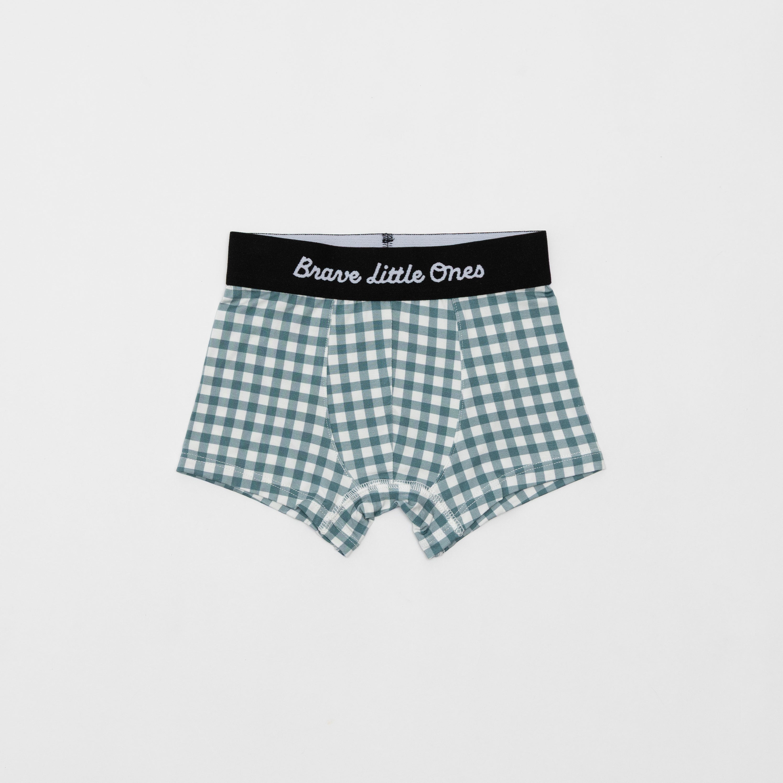 Dogs Green, Grid Sage Green and Blue Small Gingham Boxer Brief 3 pack
