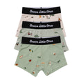 Backyard Bugs, Golf and Prehistoric Dinosaurs Boxer Brief 3 pack