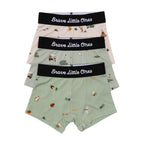 Backyard Bugs, Golf and Prehistoric Dinosaurs Boxer Brief 3 pack