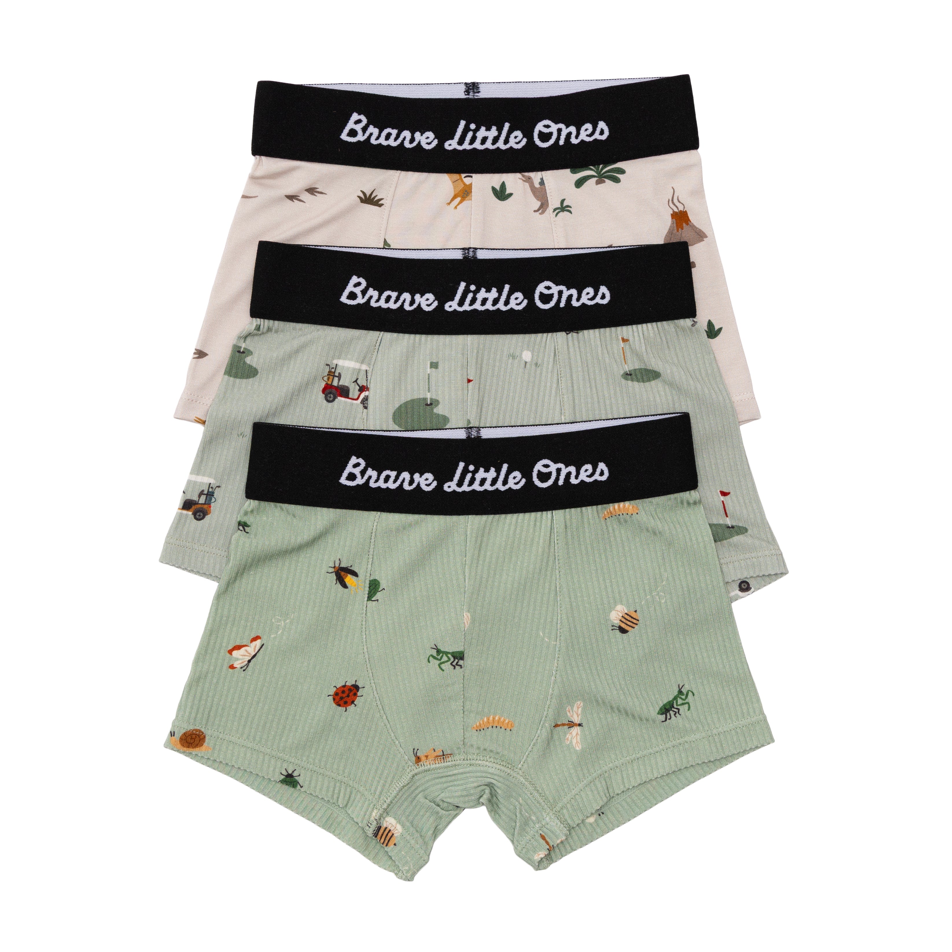 Backyard Bugs, Golf and Prehistoric Dinosaurs Boxer Brief 3 pack