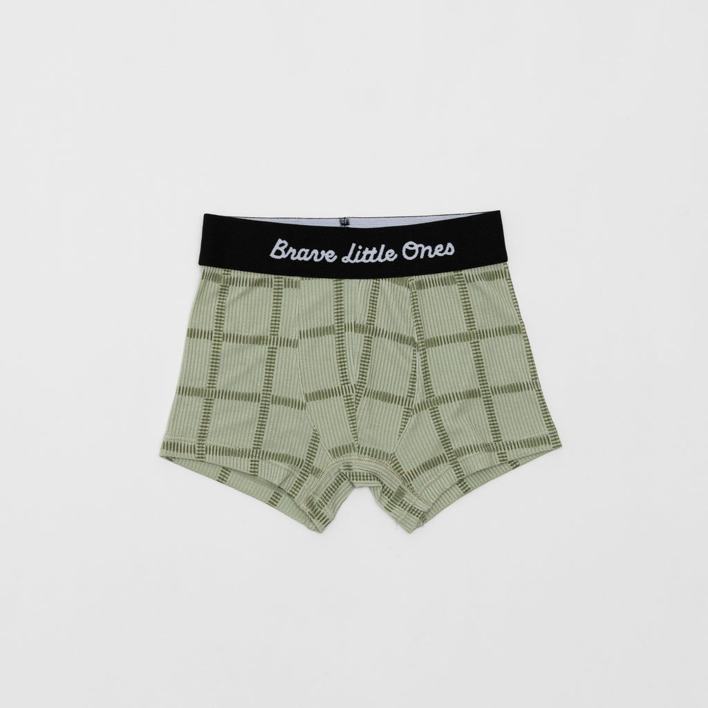 Dogs Green, Grid Sage Green and Blue Small Gingham Boxer Brief 3 pack