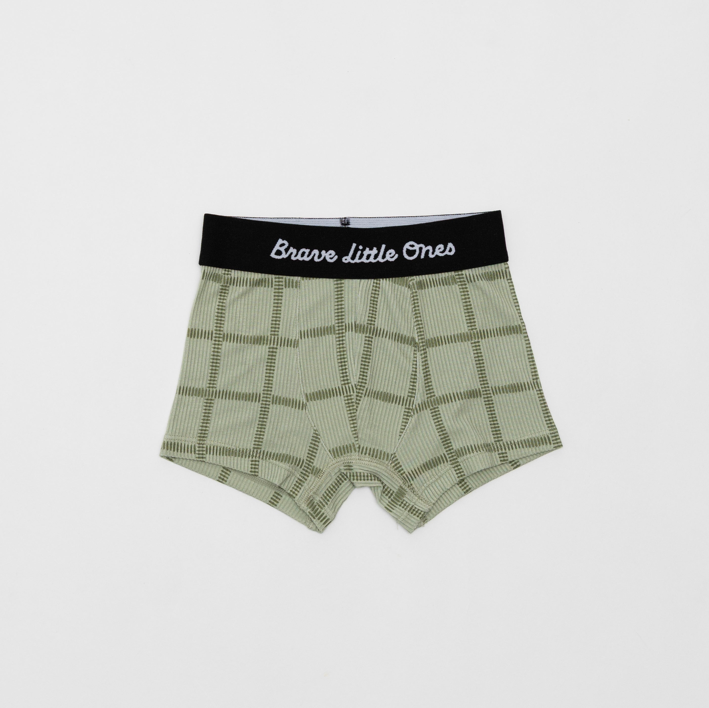 Dogs Green, Grid Sage Green and Blue Small Gingham Boxer Brief 3 pack