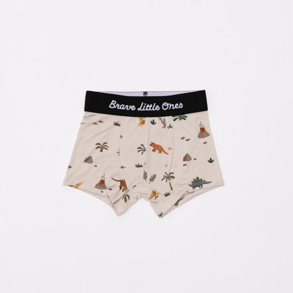Backyard Bugs, Golf and Prehistoric Dinosaurs Boxer Brief 3 pack