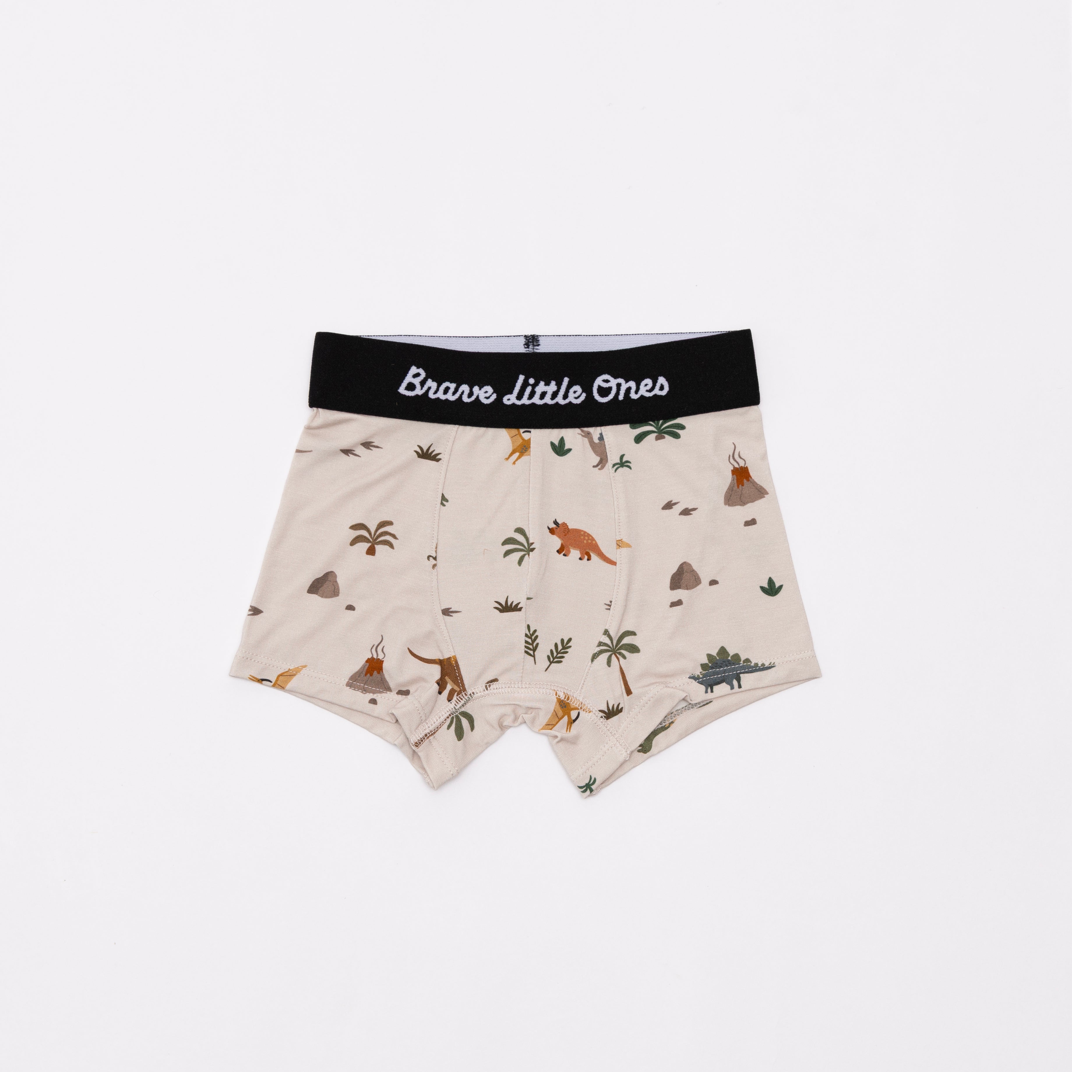 Backyard Bugs, Golf and Prehistoric Dinosaurs Boxer Brief 3 pack