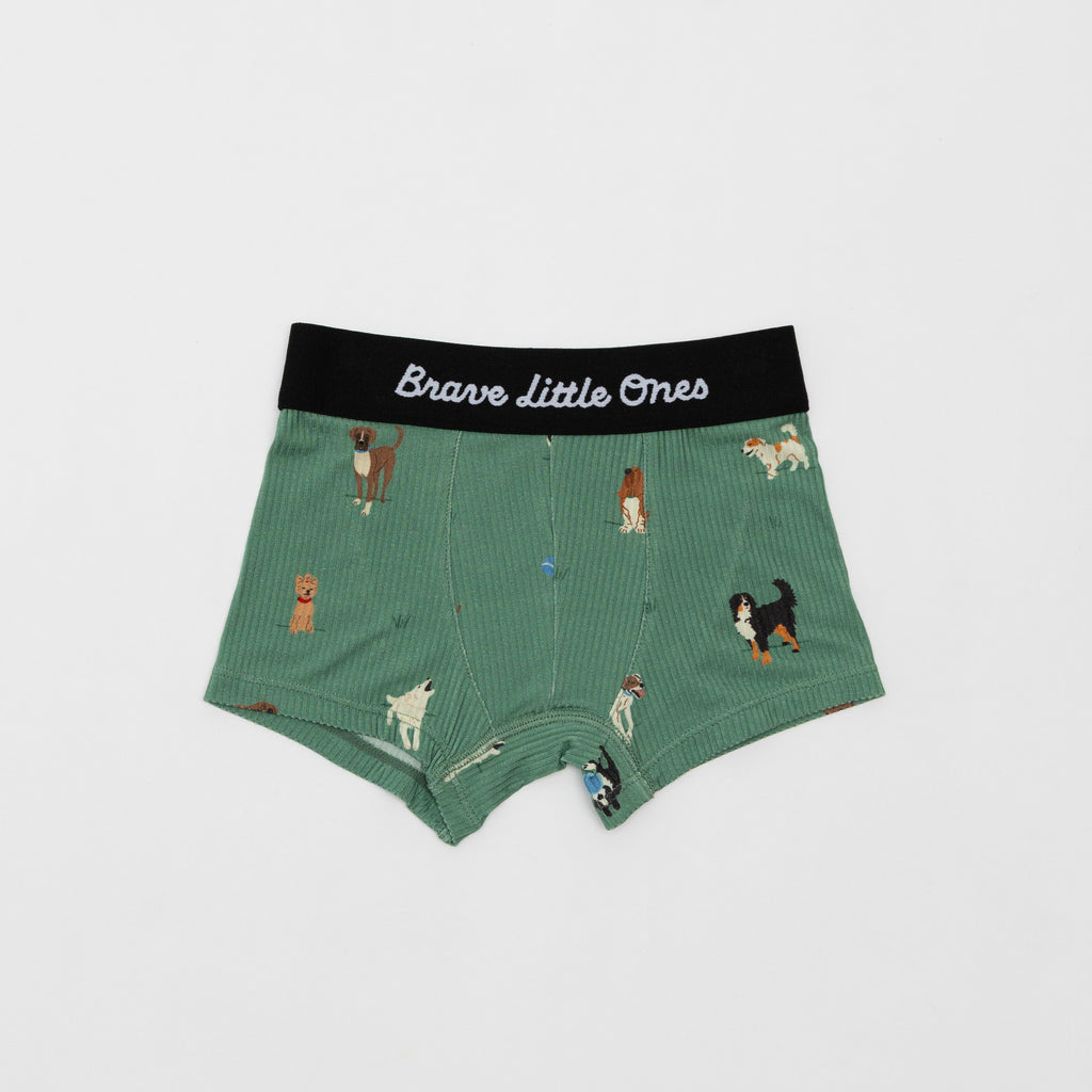 Dogs Green, Grid Sage Green and Blue Small Gingham Boxer Brief 3 pack