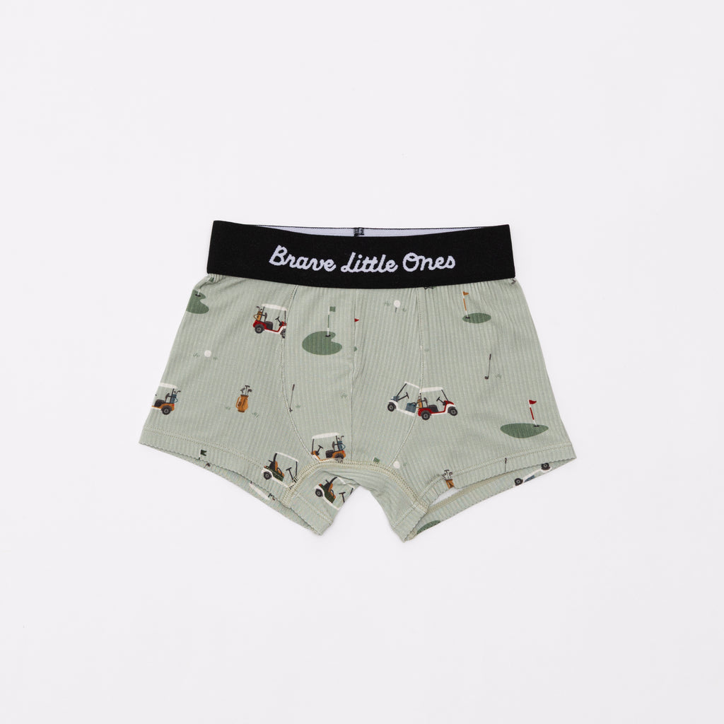Backyard Bugs, Golf and Prehistoric Dinosaurs Boxer Brief 3 pack