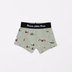 Backyard Bugs, Golf and Prehistoric Dinosaurs Boxer Brief 3 pack