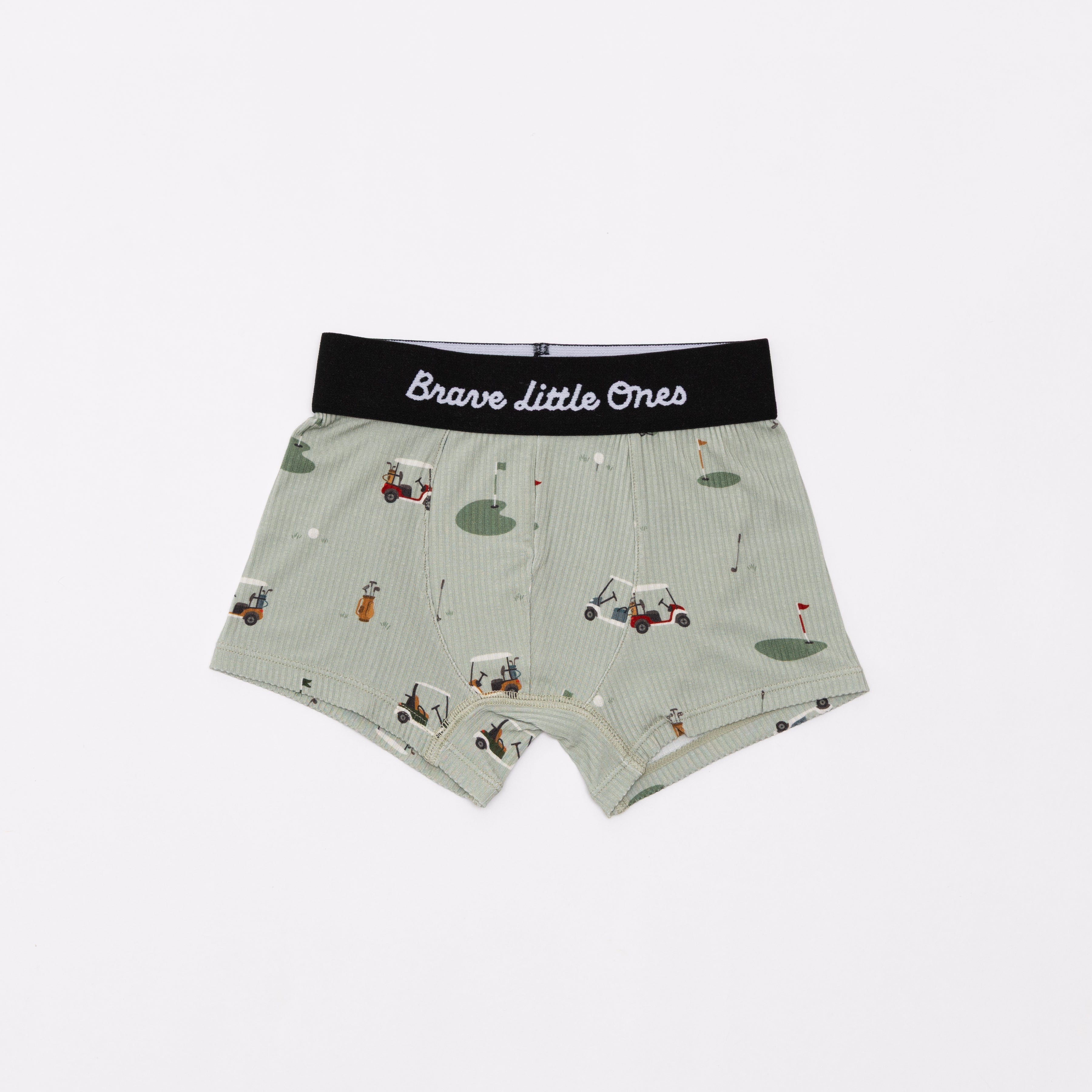 Backyard Bugs, Golf and Prehistoric Dinosaurs Boxer Brief 3 pack