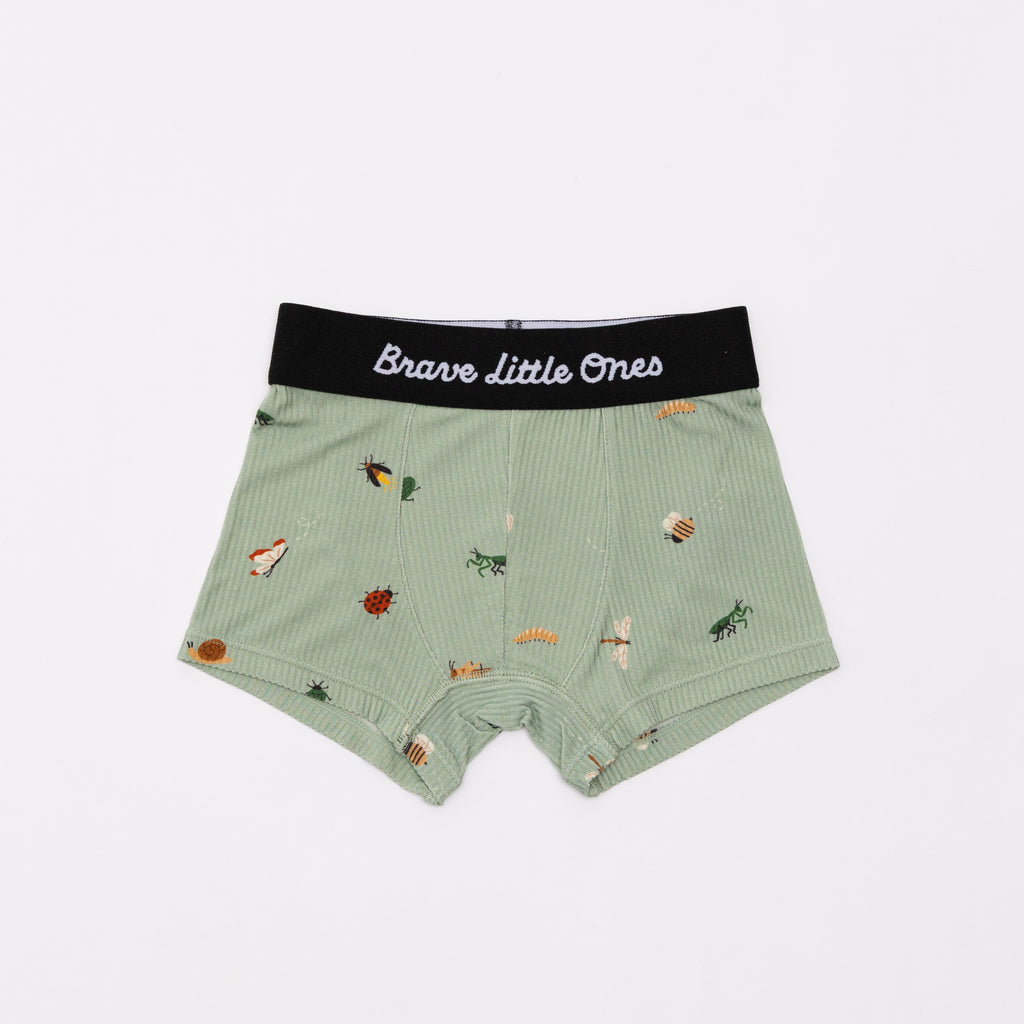 Backyard Bugs, Golf and Prehistoric Dinosaurs Boxer Brief 3 pack
