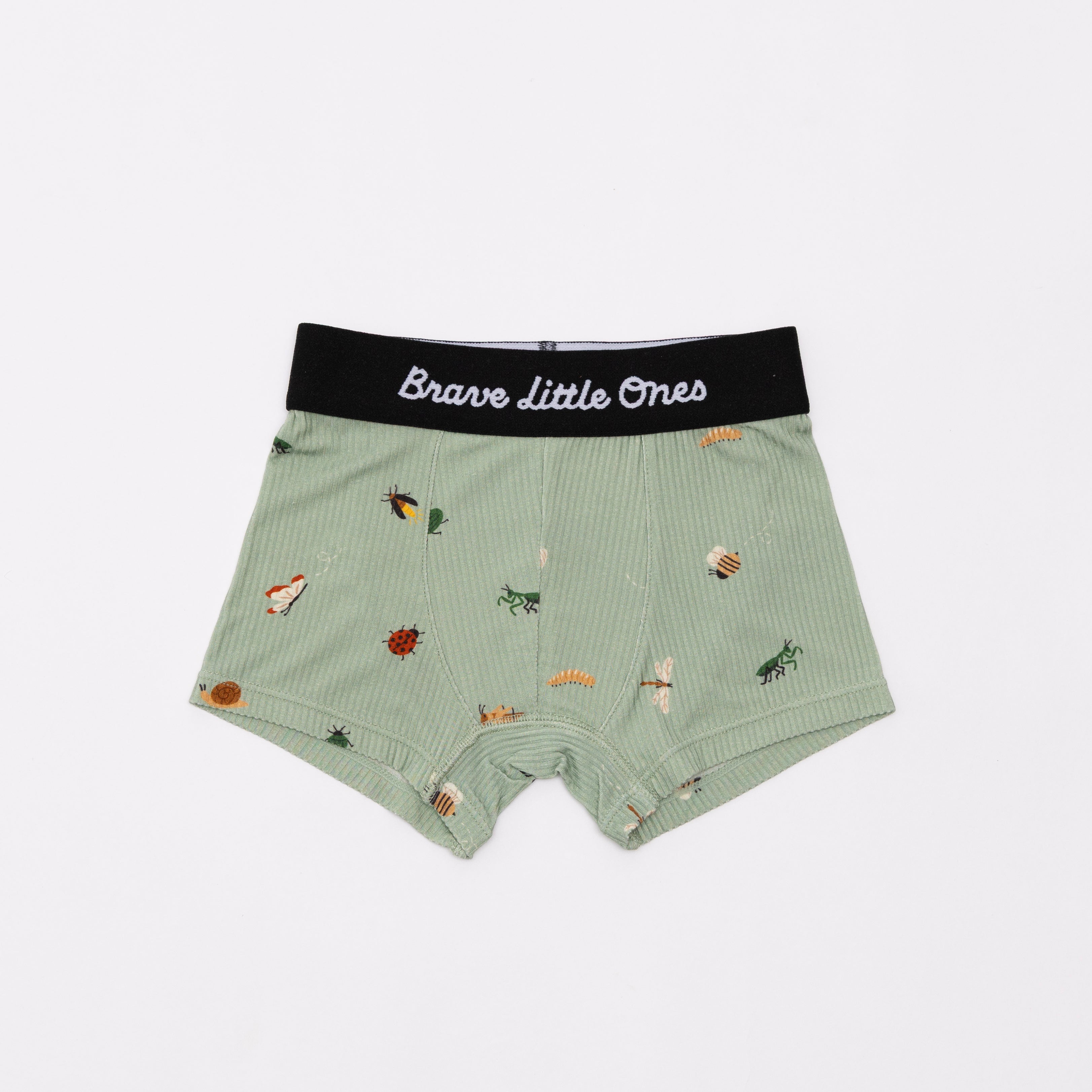 Backyard Bugs, Golf and Prehistoric Dinosaurs Boxer Brief 3 pack