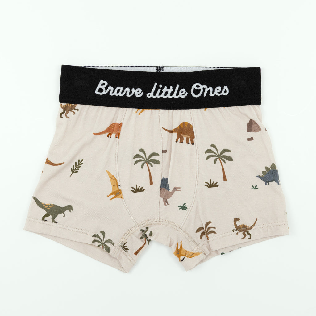 Take Flight Blue, Prehistoric Dinosaurs and Trash Truck Small Ribbed Brief 3 pack